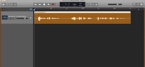 Grabbing audio track in Garageband